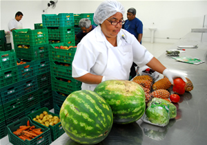 Projeto Hortifrutigranjeiros do Banco de Alimentos Imagem: acervo Banco de Alimentos
